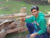 Jignesh Pedgaokar