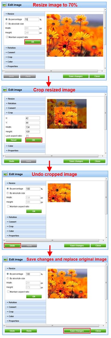 Kentico CMS image editor in version 6.0