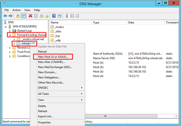 DNS manager