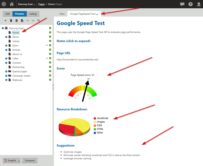 Page Speed Results 1