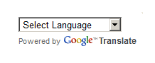 Google Translate box